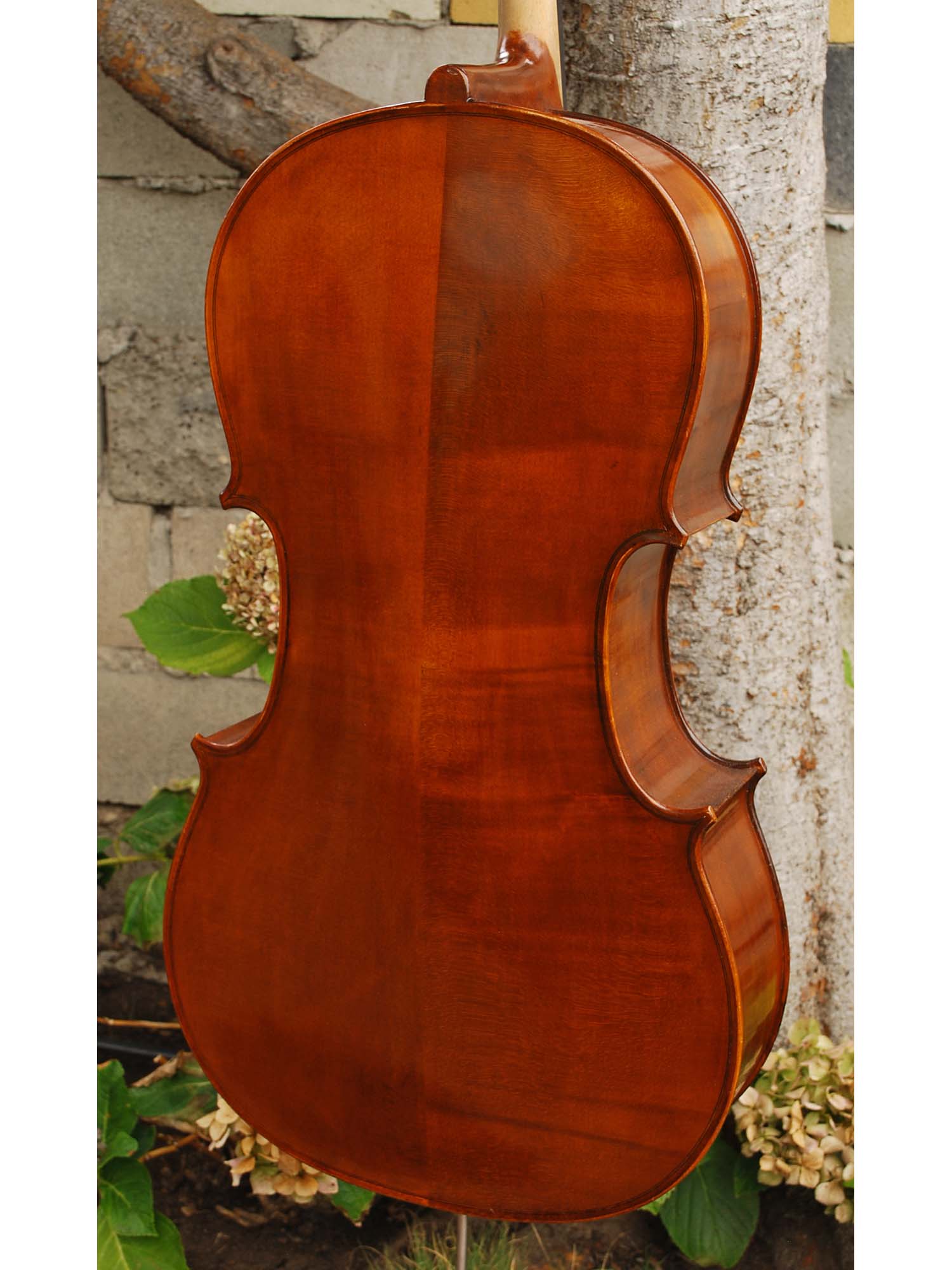 New and Used Cellos - Linda West Cellos