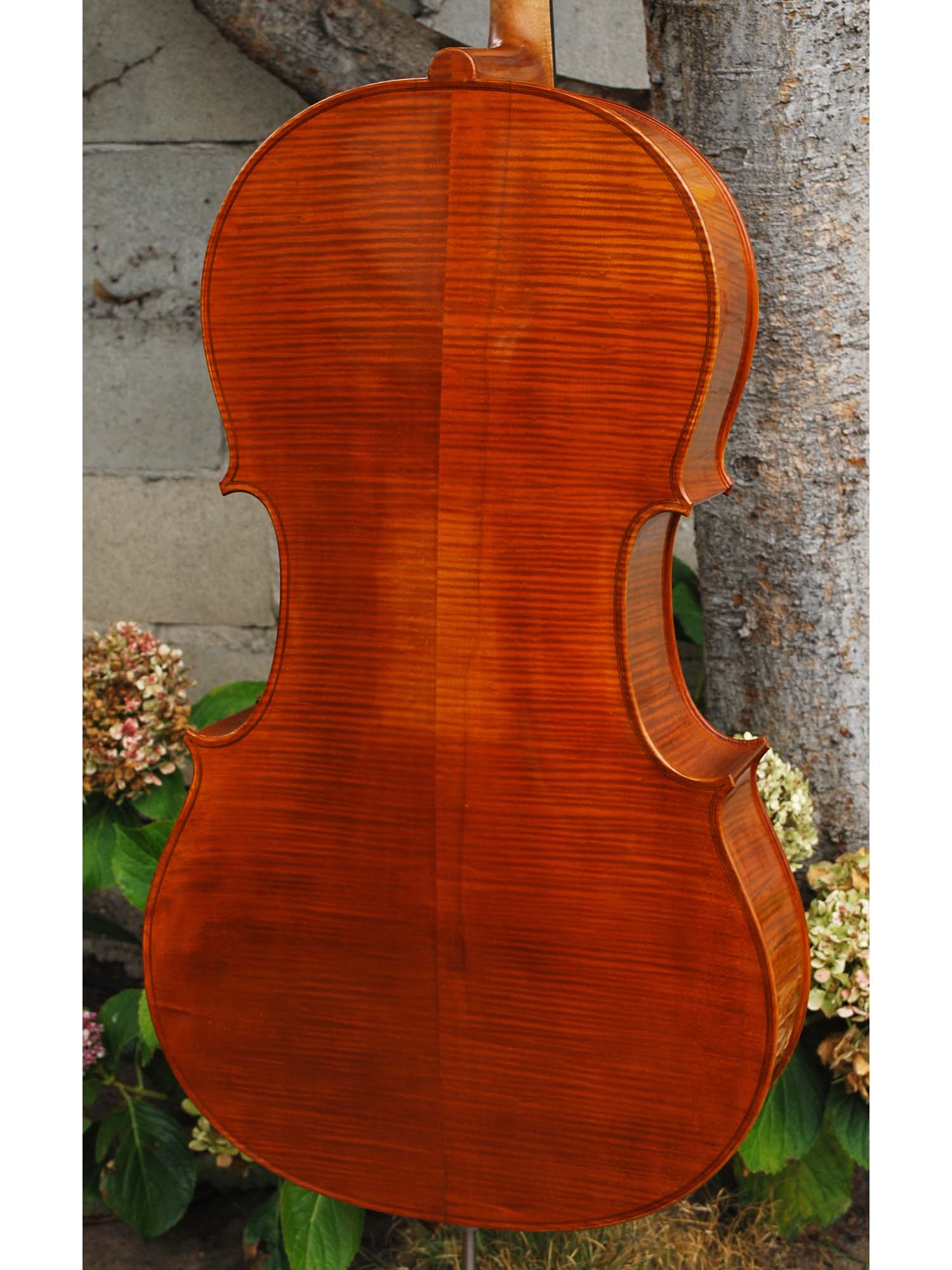 Calin Wultur #6 Piatti Strad 4/4 Cello