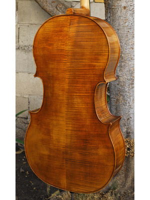 Vivo Special Eurowoods 4/4 Cello