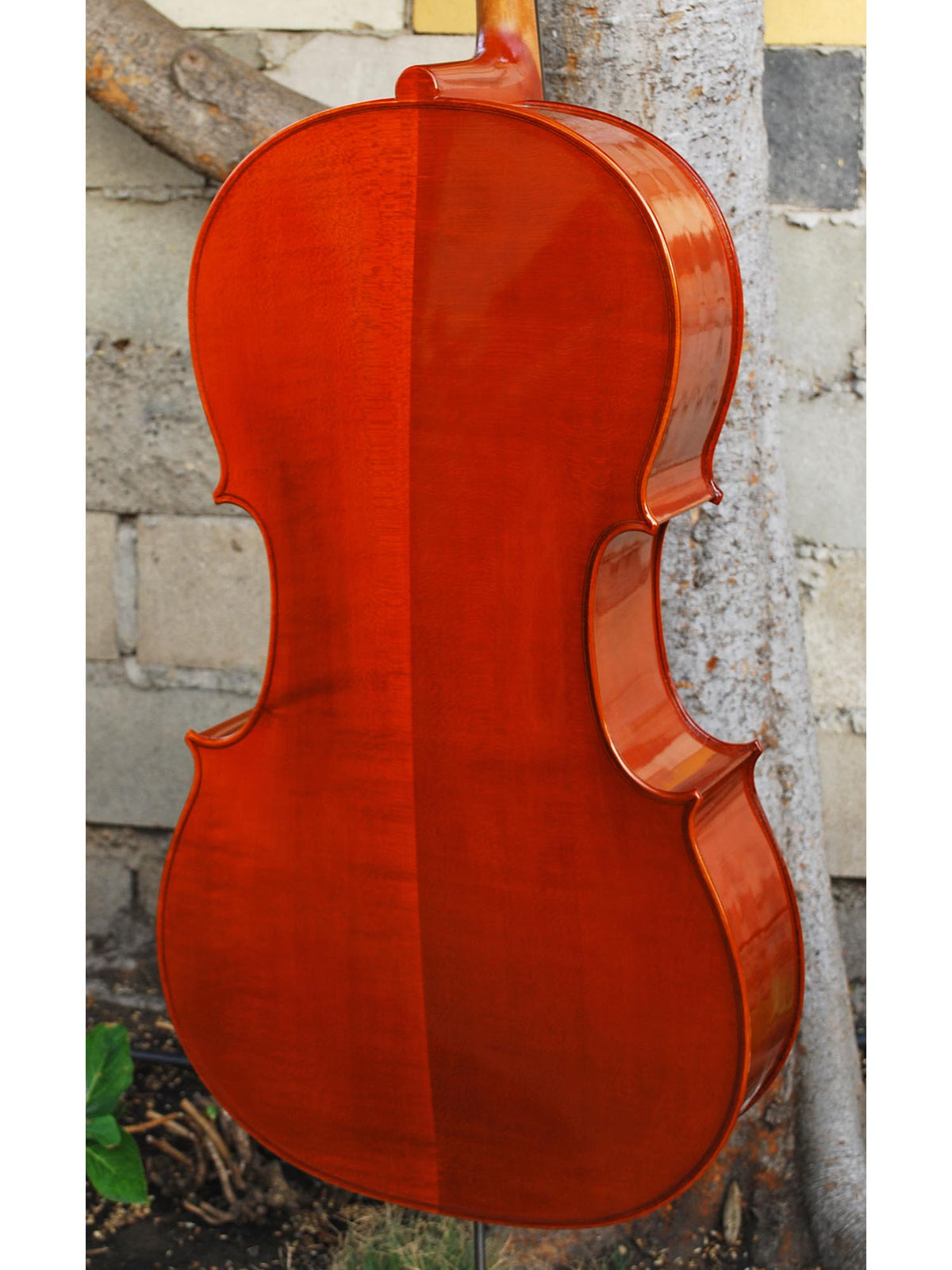 11x optic cello reserved for aaron barton shops