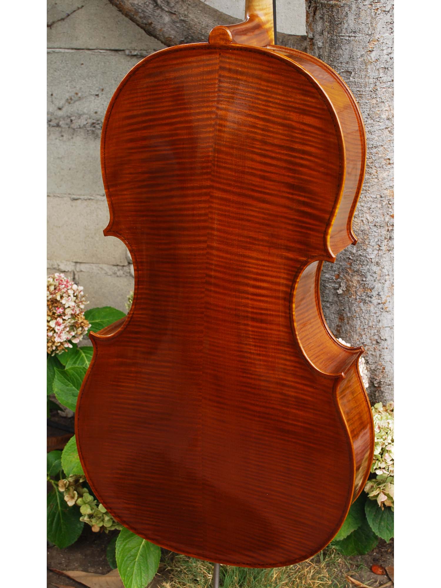 Tadeusz Slipek Master 'Jacobs' 4/4 Cello (smaller)