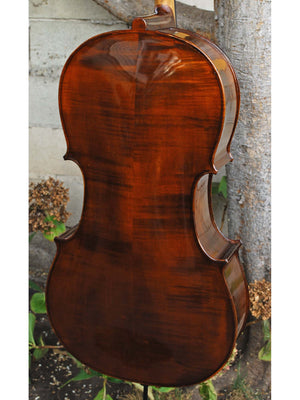 Eastman model 305 7/8 Cello