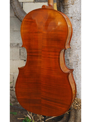 Angel Taylor model 420 3/4 Cello