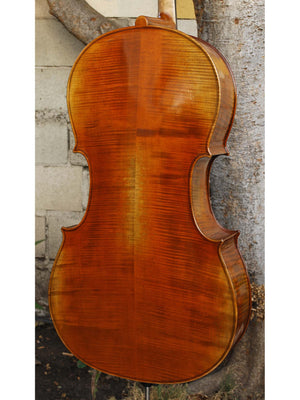 Vivo Limited 4/4 Cello