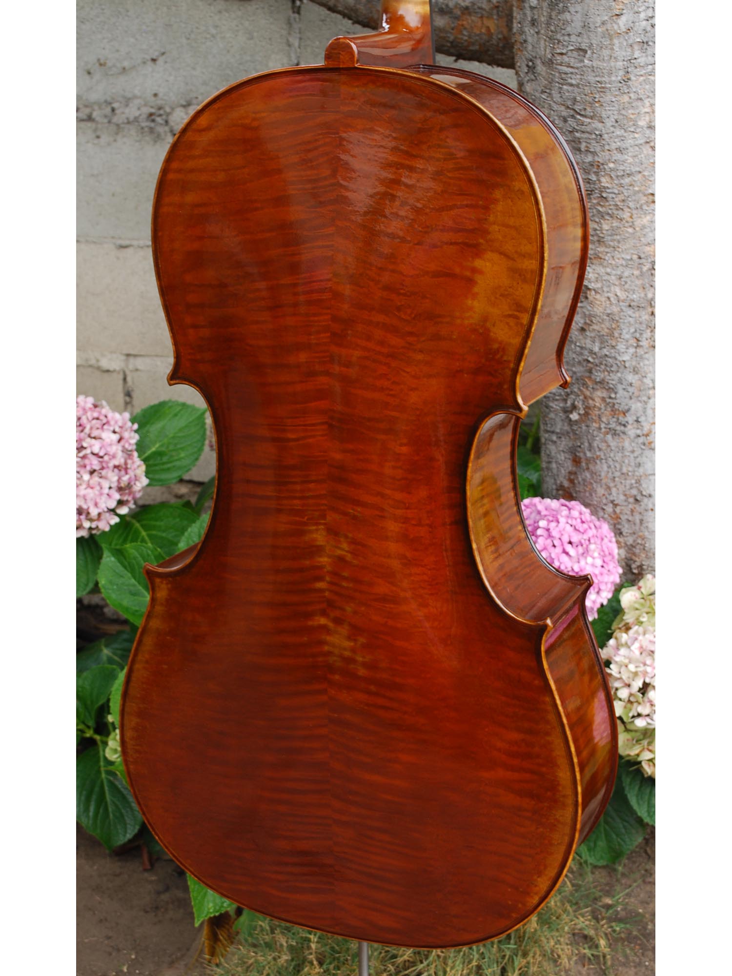 C. Callegari 'Stradivari 1710' 4/4 Cello