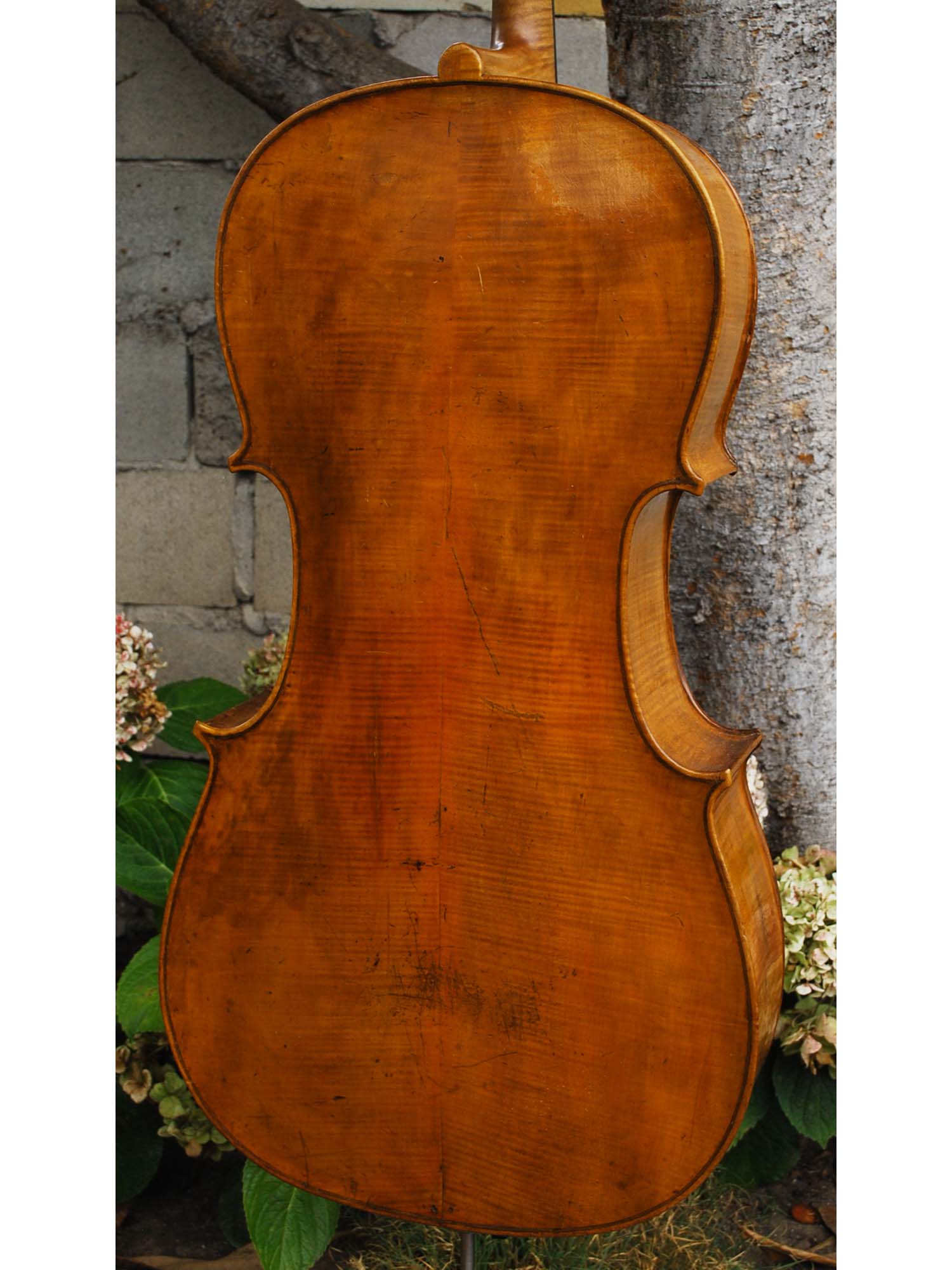 Late 18th Century 'Ginger' Smaller 4/4 Cello