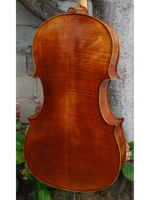 Vivo Guadagnini 1777 Replica 4/4 Cello (A)