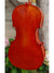 Frederich Wyss Model 703 'Guarneri del Gesu' 7/8 Cello