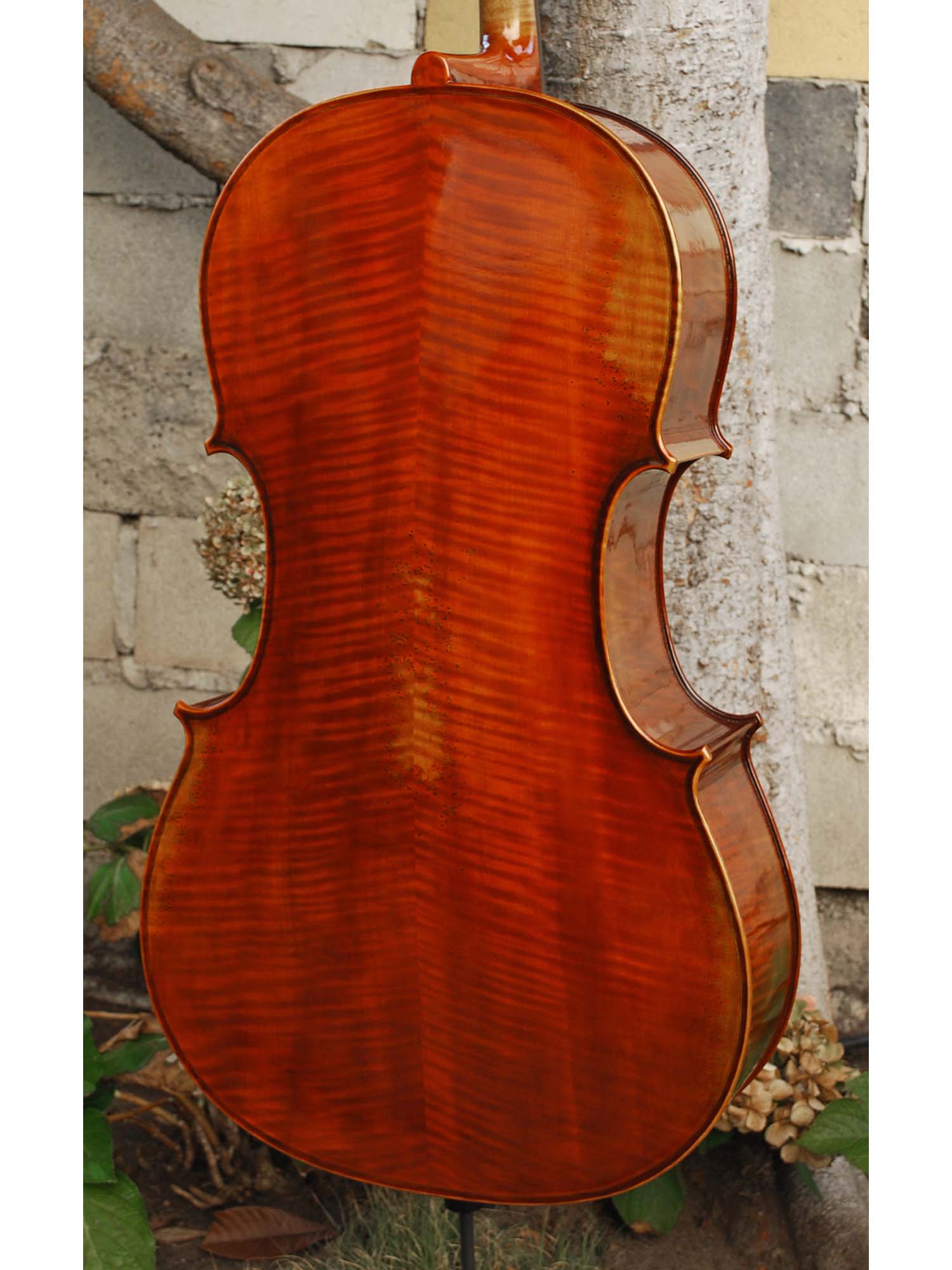 New and Used Cellos - Linda West Cellos