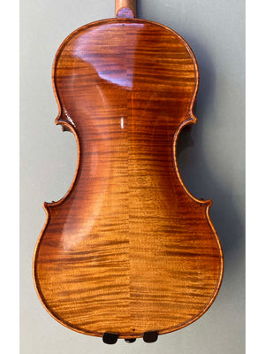 Vivo Vivace Violin 4/4 Violin