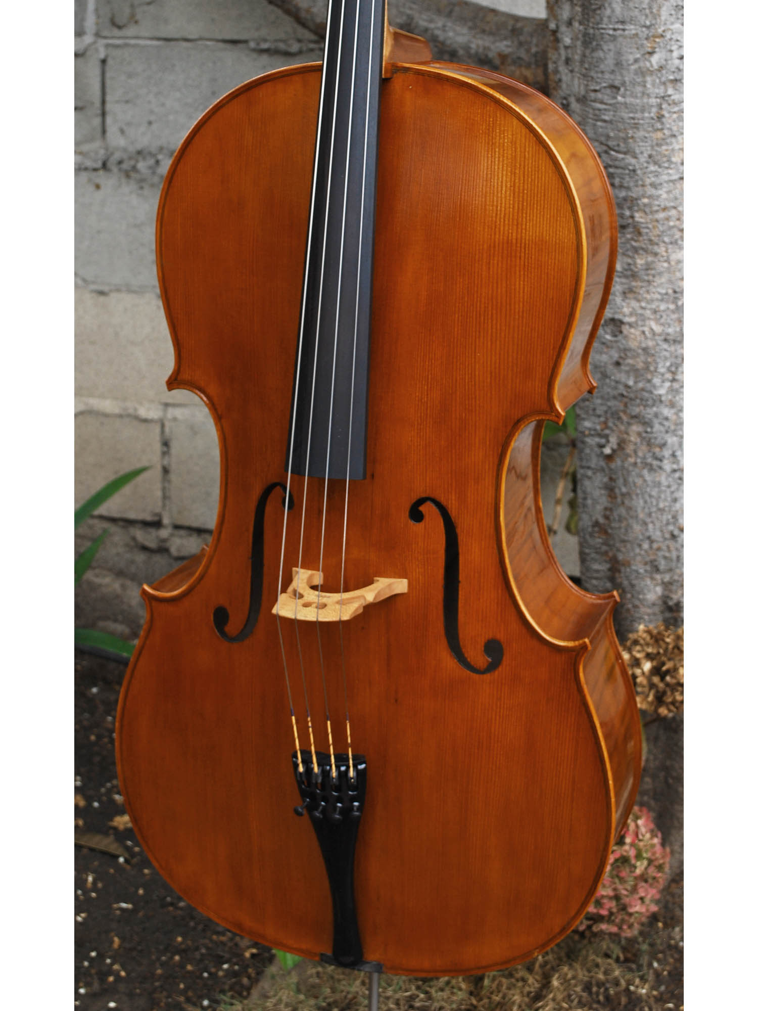 Calin Wultur Model #5 Guarneri 4/4 Cello - Used