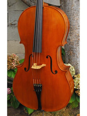 Calin Wultur #6 Piatti Strad 4/4 Cello