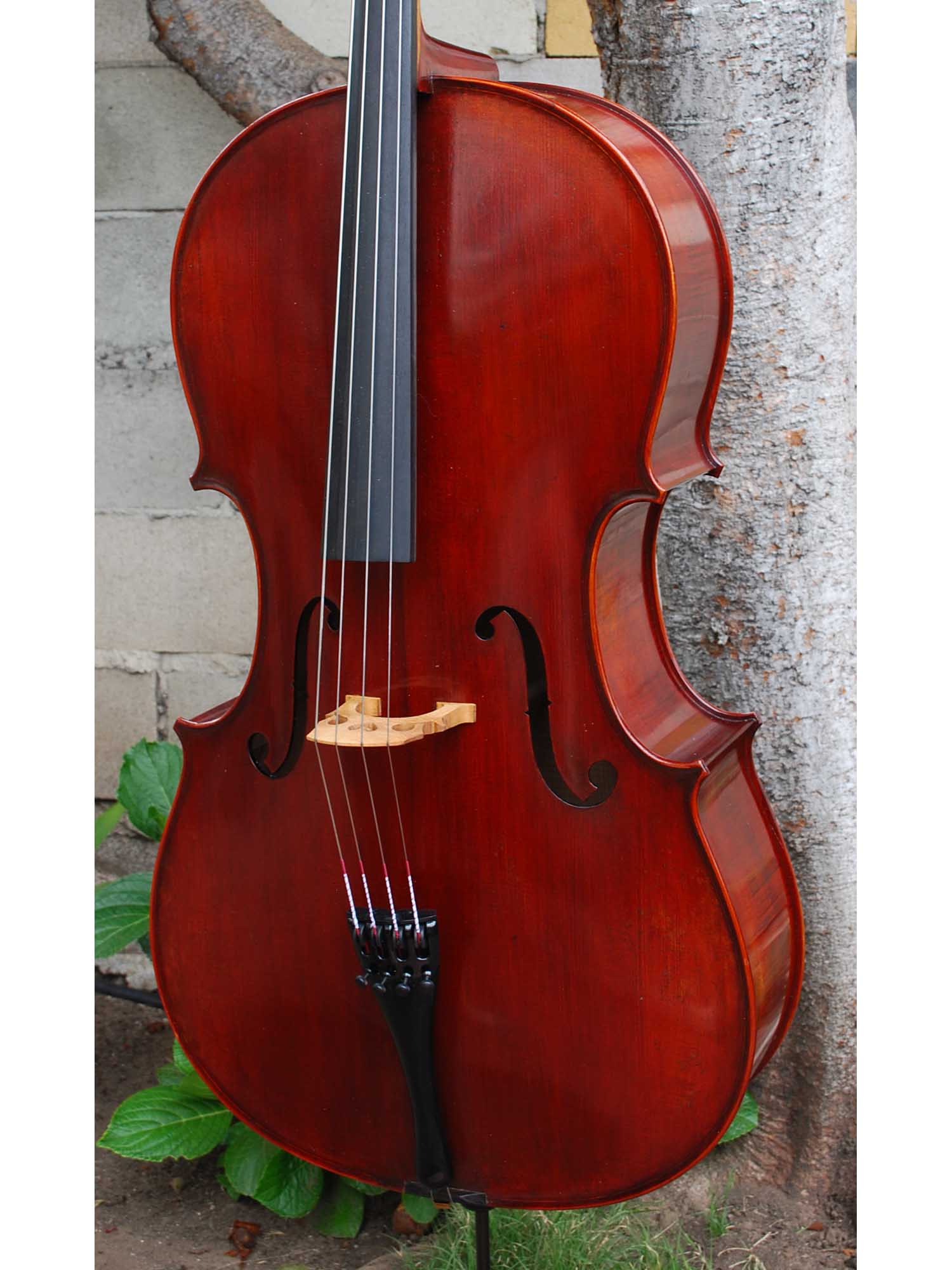 New and Used Cellos Tagged 