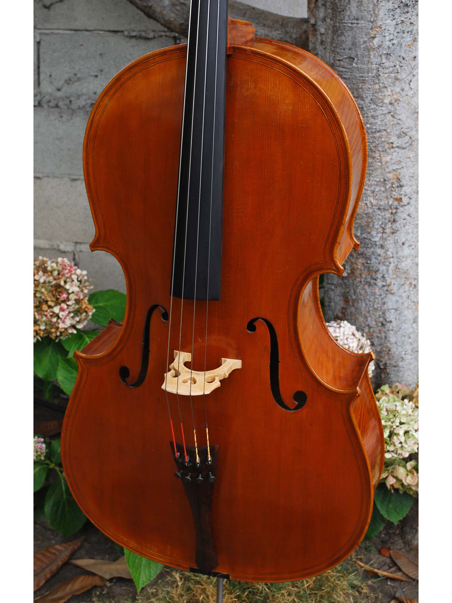 Cracovia Montagnana Deluxe 4/4 Cello