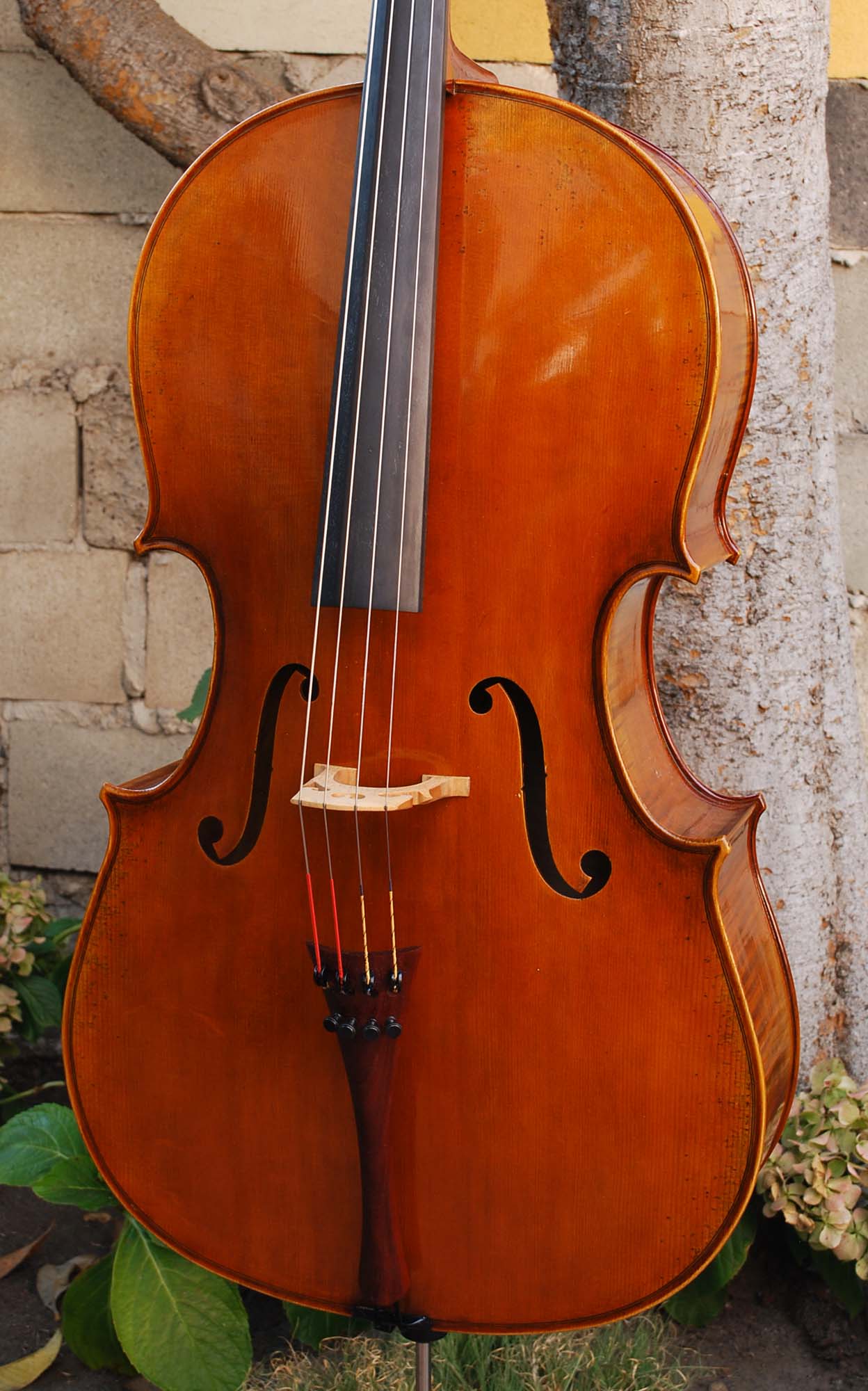 The Cello Museum – 5 Great Mother's Day Cello Gift Ideas