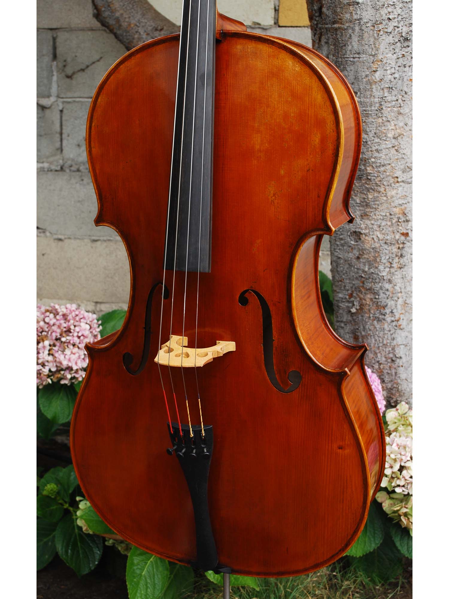 Wilhelm Klier Model 702 'Strad' 7/8 Cello