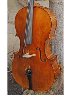 Vivo Special Eurowoods 4/4 Cello