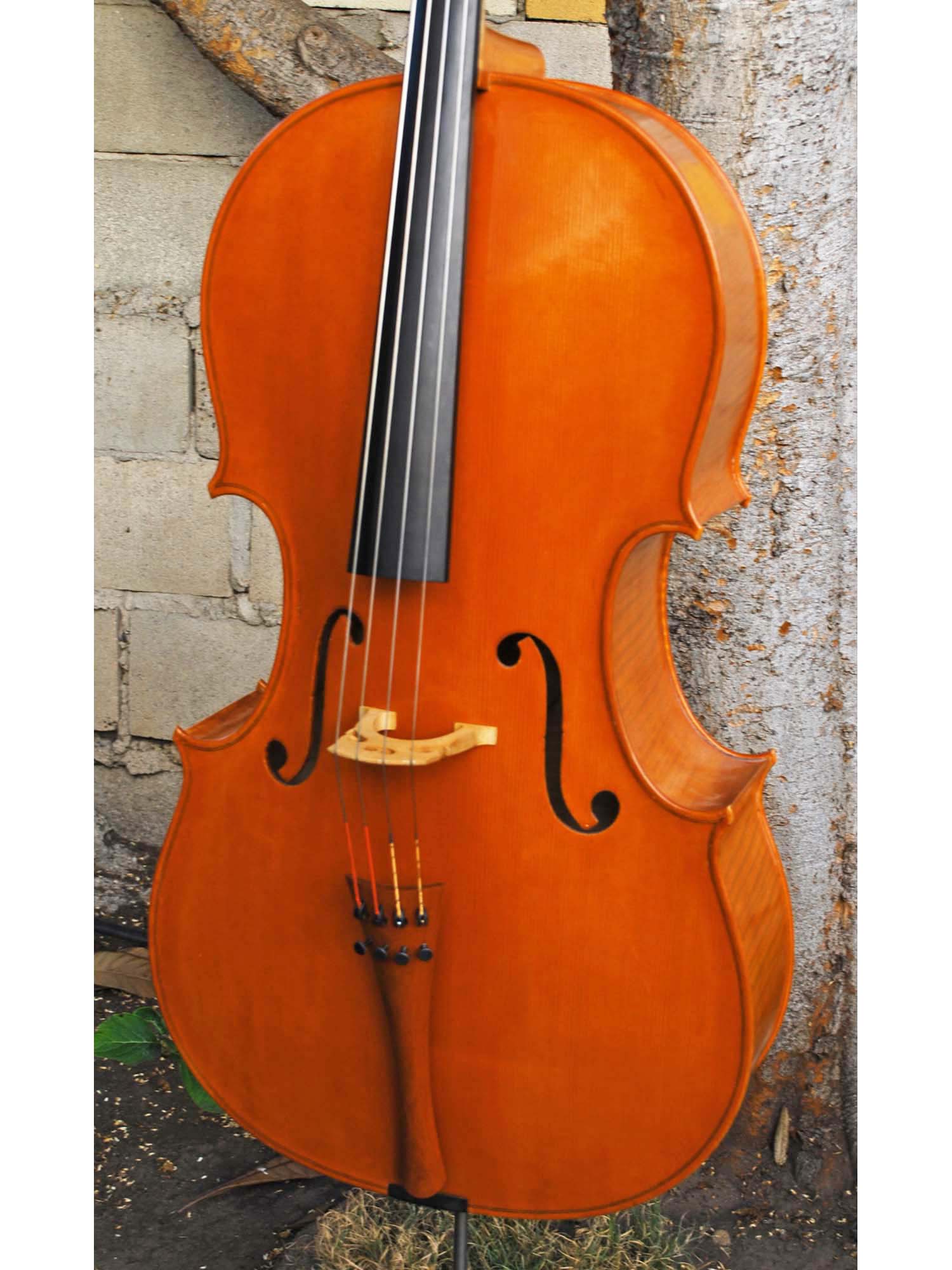 string instruments cello