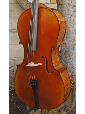 Vivo Limited 4/4 Cello