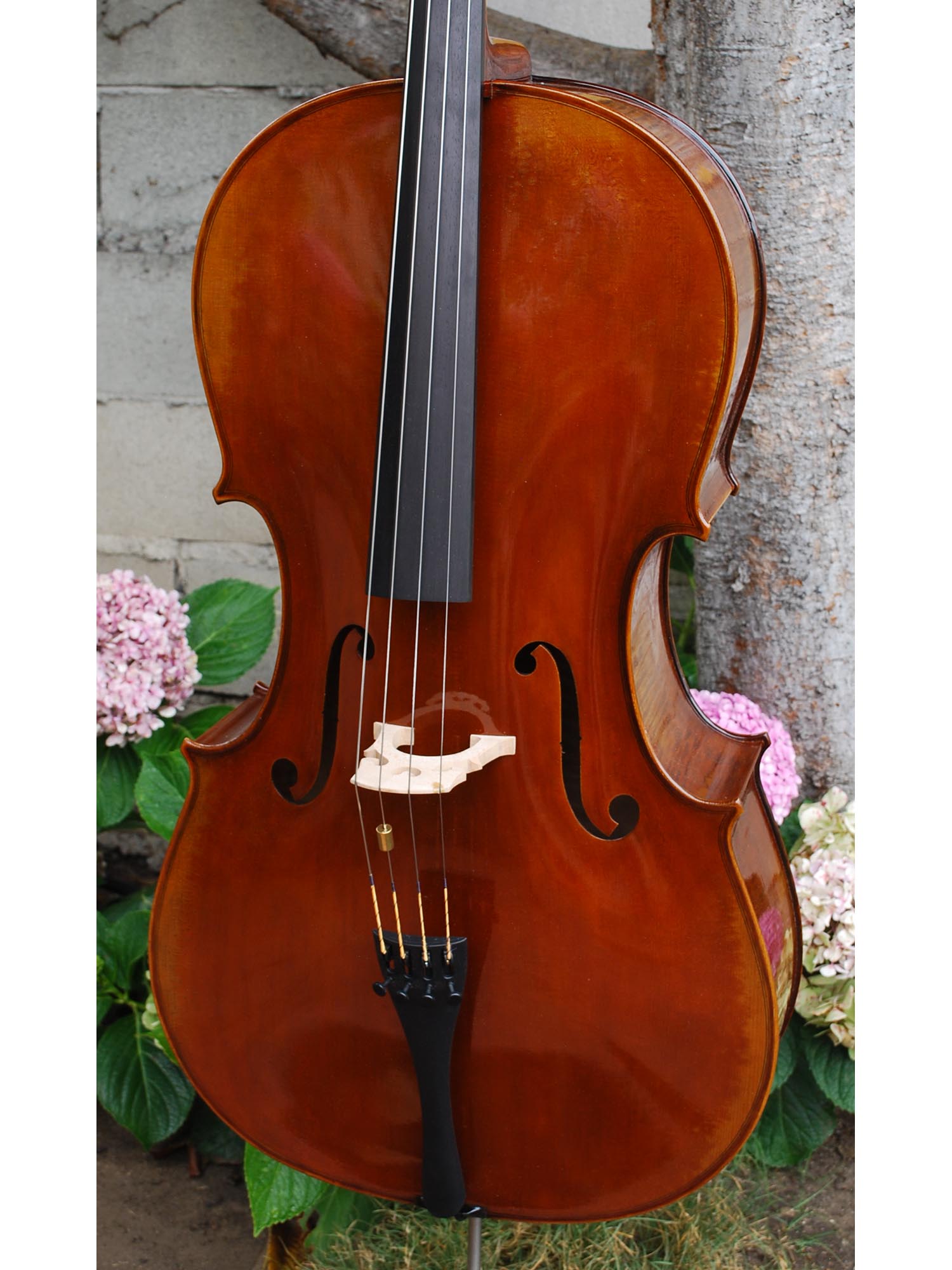 C. Callegari 'Stradivari 1710' 4/4 Cello