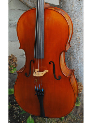 Angel Taylor model 420 7/8 Cello