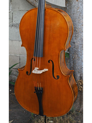 Calin Wultur Model #5 Piatti Strad 4/4 Cello (2)