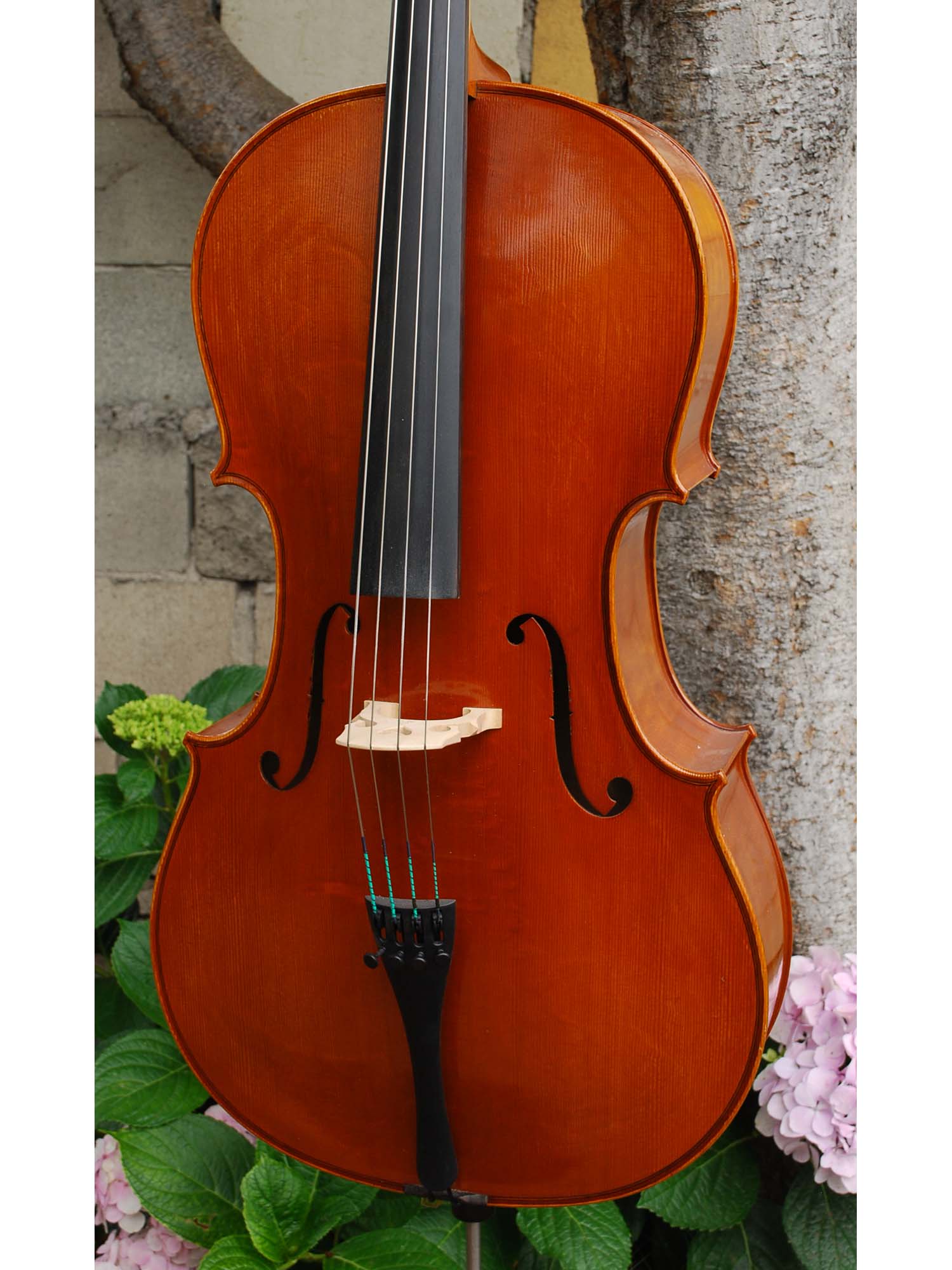 Andrew Fein 3/4 Cello