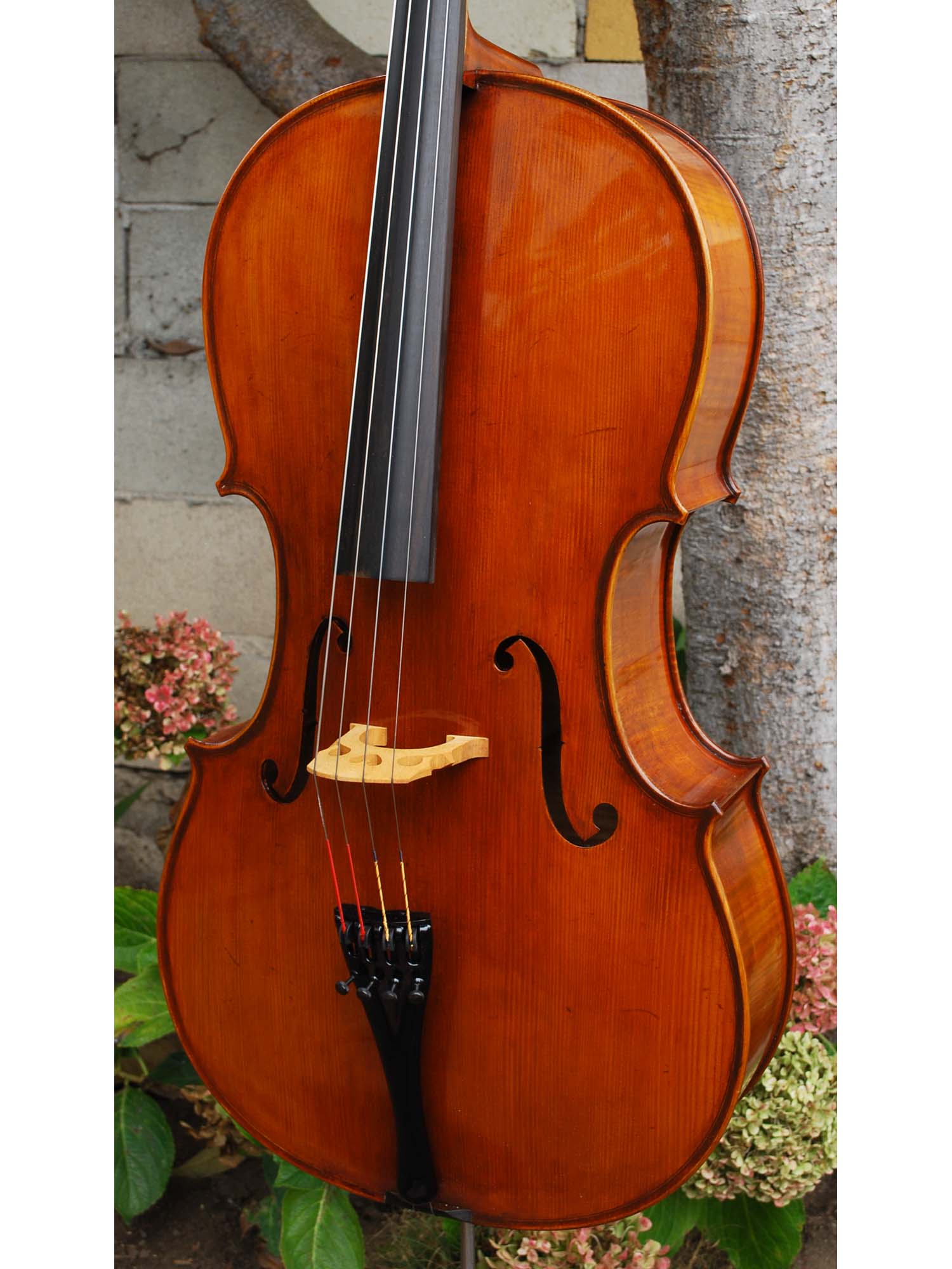 Eastman model 830 7/8 Cello