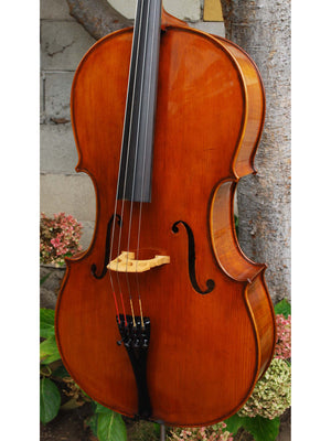 Eastman model 830 7/8 Cello