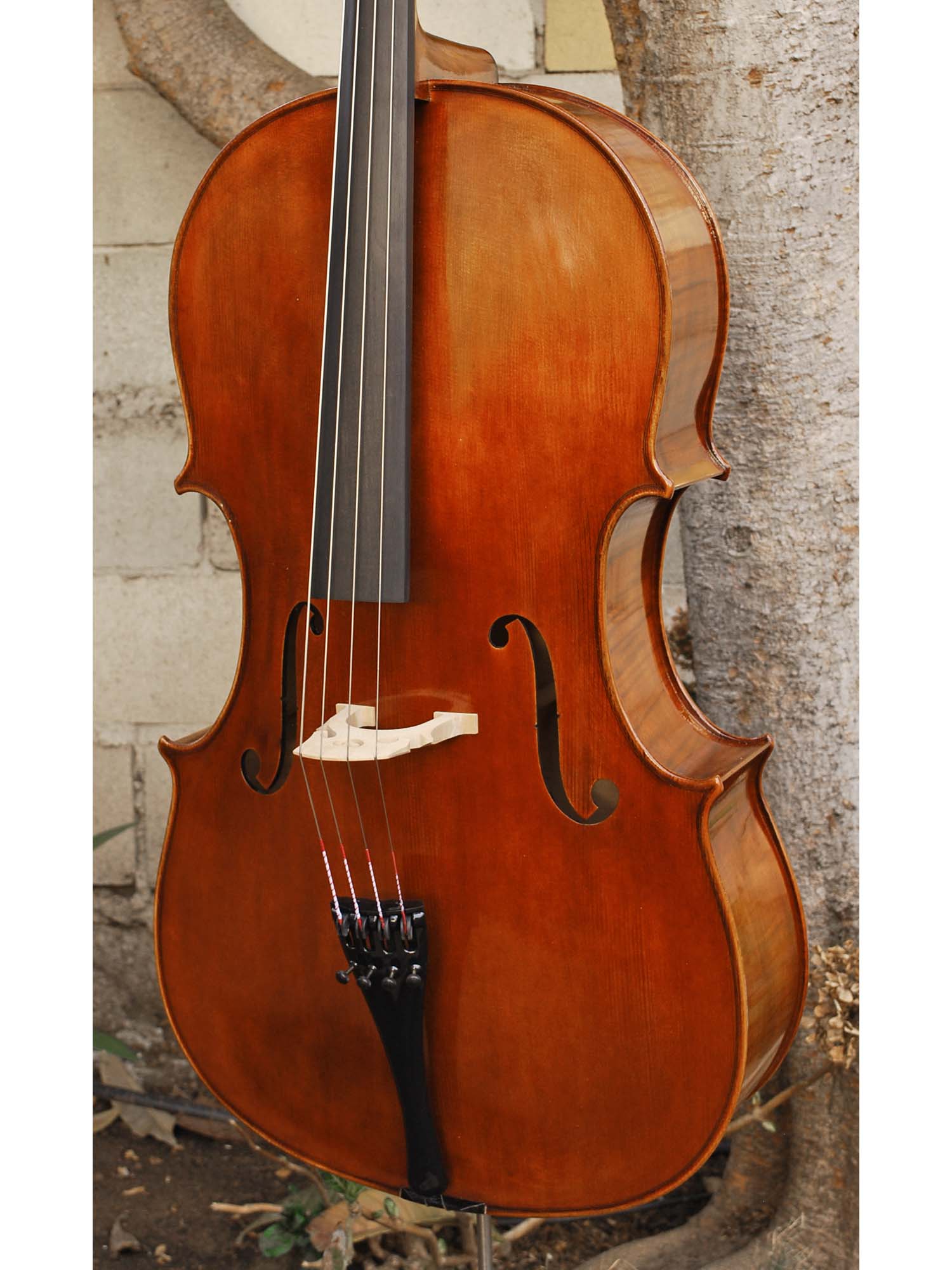 Vivo Guadagnini 1777 Replica 4/4 Cello (2025)