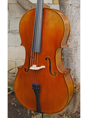 Antonio Fiorini 650 'Strad' 4/4 Cello