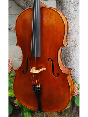 Vivo Guadagnini 1777 Replica 4/4 Cello (A)