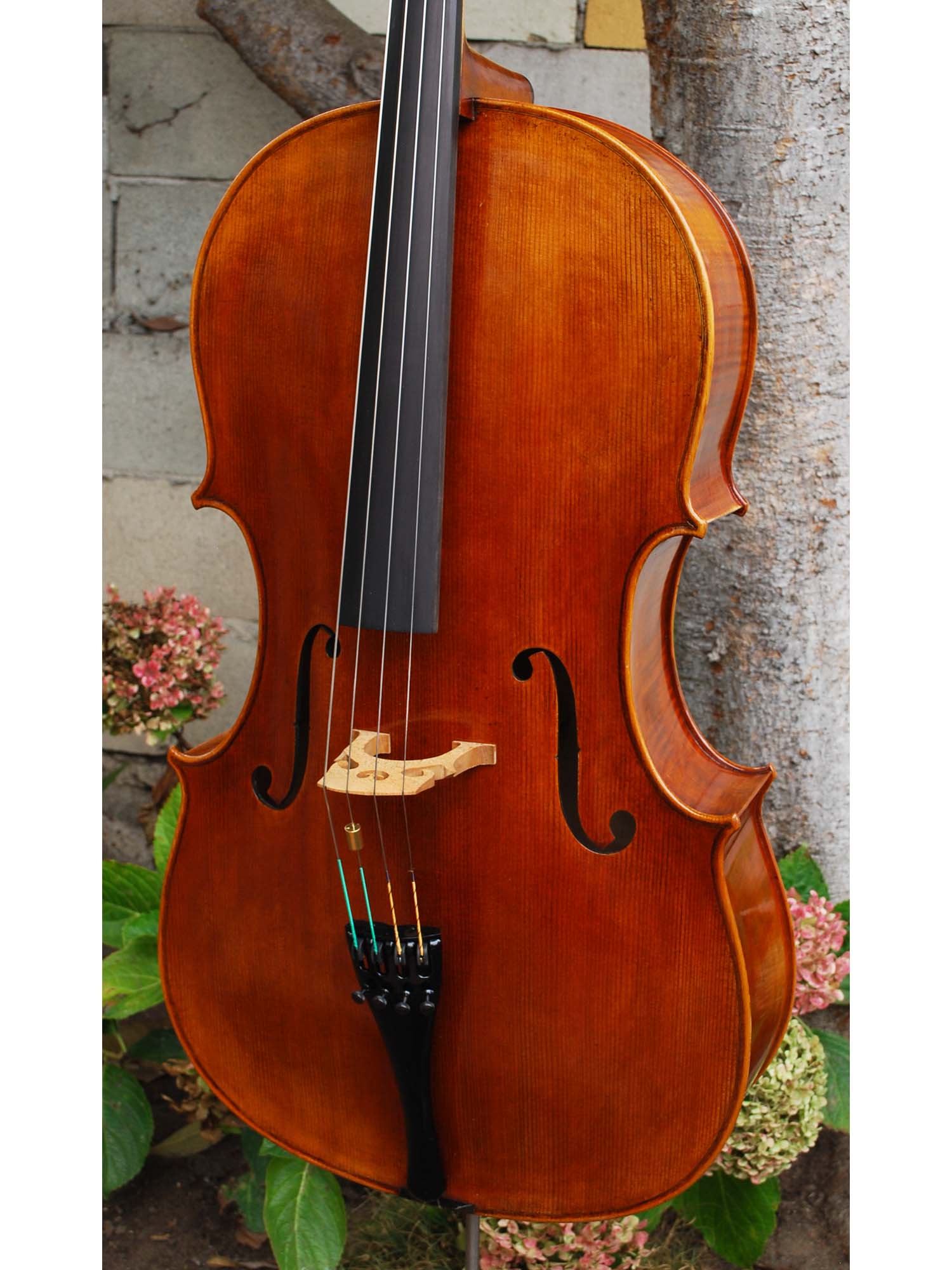 Vivo Guadagnini 1777 Replica 4/4 Cello (B)