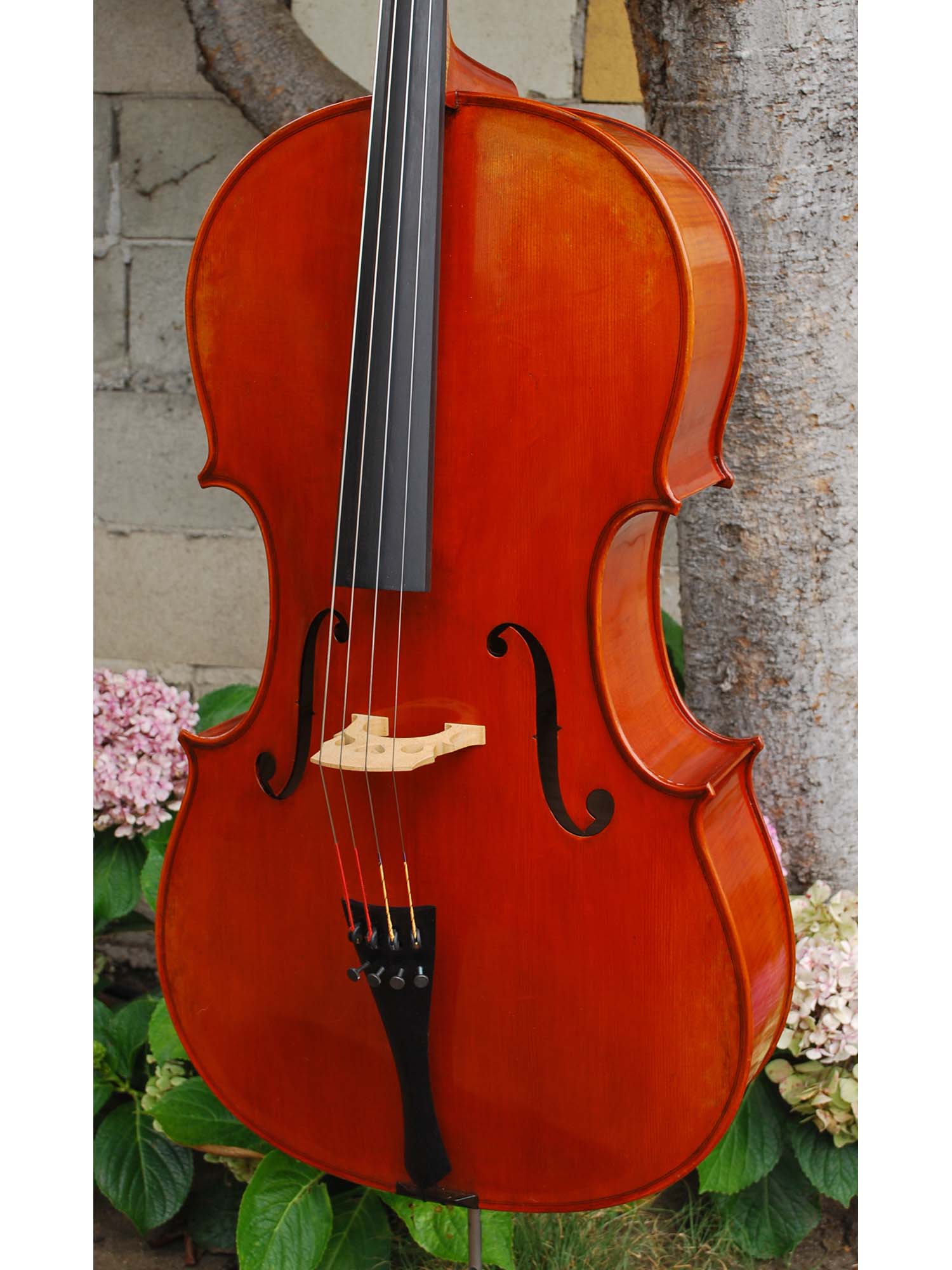 Frederich Wyss Model 703 'Guarneri del Gesu' 7/8 Cello