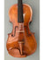 Eastman 30th Anniversary 16 1/2" model 830 VIOLA - Poplar back