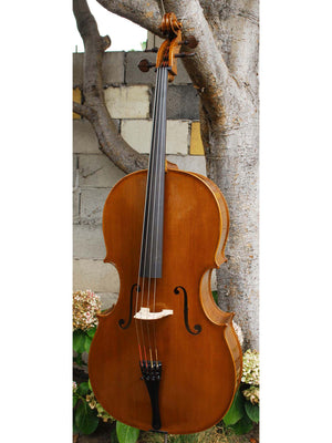 Tadeusz Slipek Master 'Jacobs' 4/4 Cello (smaller)