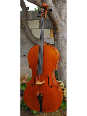 Calin Wultur #6 Piatti Strad 4/4 Cello