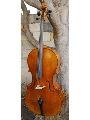 Vivo Special Eurowoods 4/4 Cello