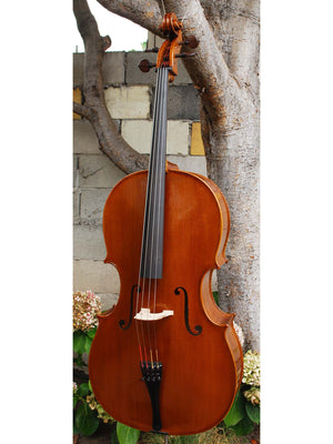 Tadeusz Slipek Master 'Jacobs' 4/4 Cello (smaller)