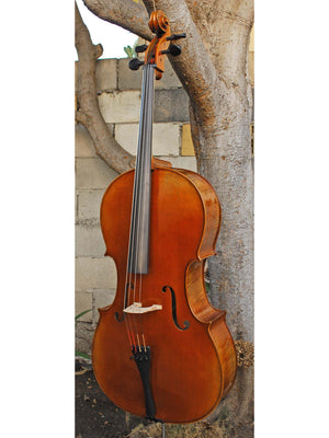 Vivo Limited 4/4 Cello