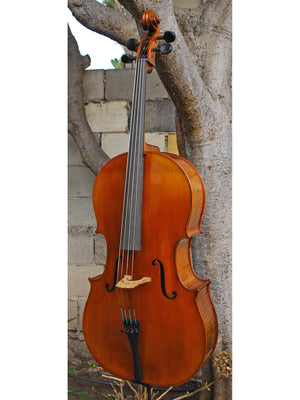 Angel Taylor model 420 3/4 Cello