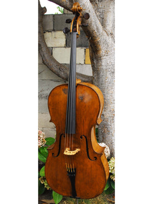 Late 18th Century 'Ginger' Smaller 4/4 Cello