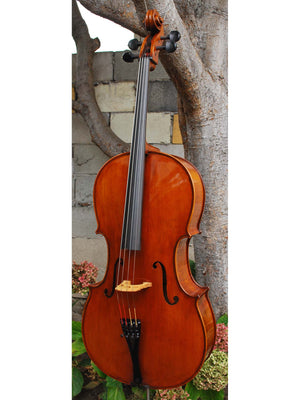 Eastman model 830 7/8 Cello