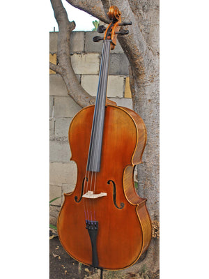 Antonio Fiorini 650 'Strad' 4/4 Cello