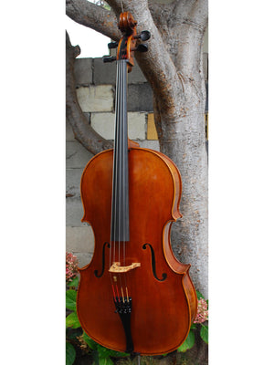 Vivo Guadagnini 1777 Replica 4/4 Cello (A)