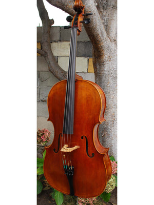 Vivo Guadagnini 1777 Replica 4/4 Cello (B)