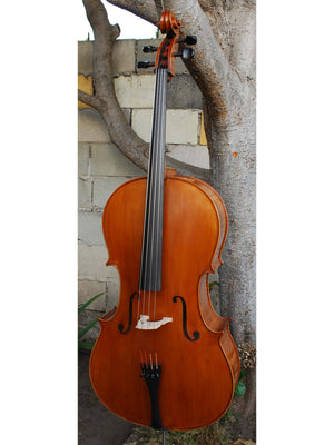 Calin Wultur Model #6 Piatti Strad 4/4 Cello