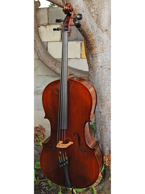 Eastman model 305 7/8 Cello