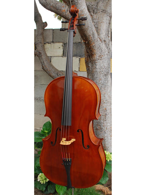 C.L. Wynn 520 'Montagnana' - 4/4 Cello