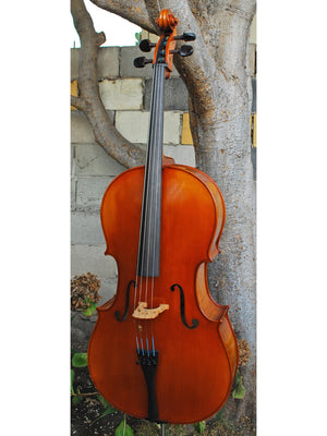 Angel Taylor model 420 7/8 Cello